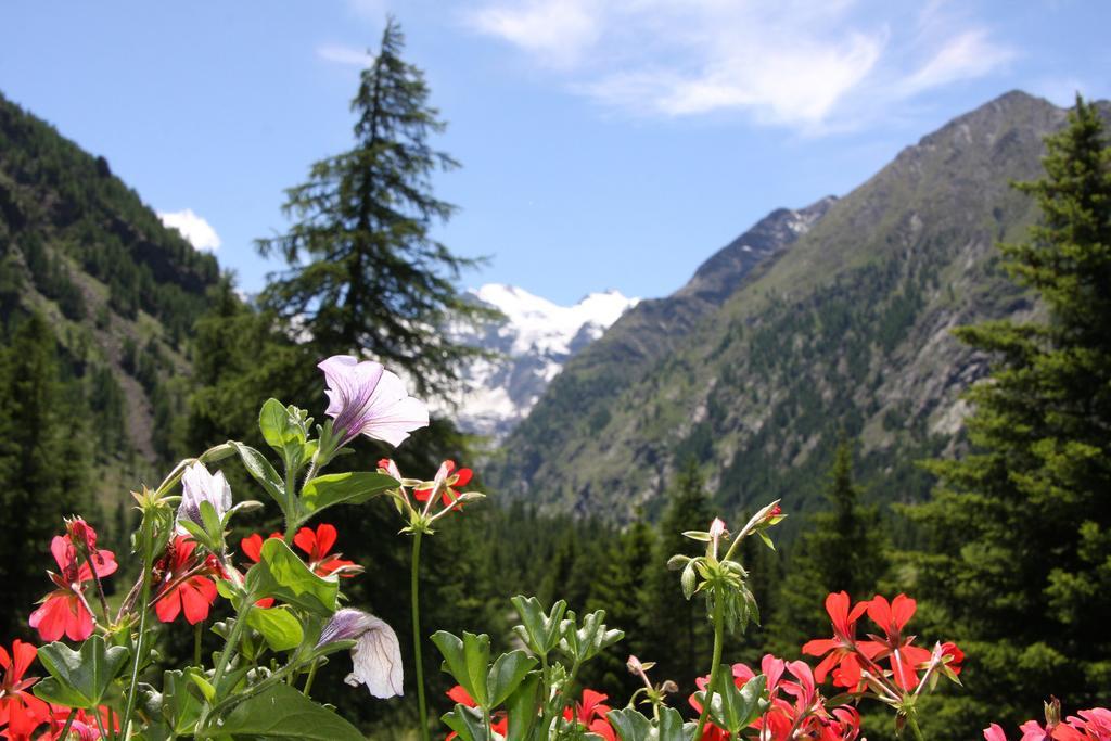 Green Hotel Herbetet Cogne Exterior foto